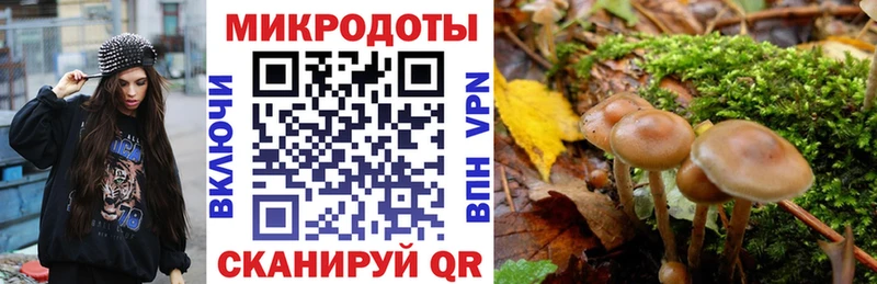 Псилоцибиновые грибы Psilocybine cubensis  Верхотурье 